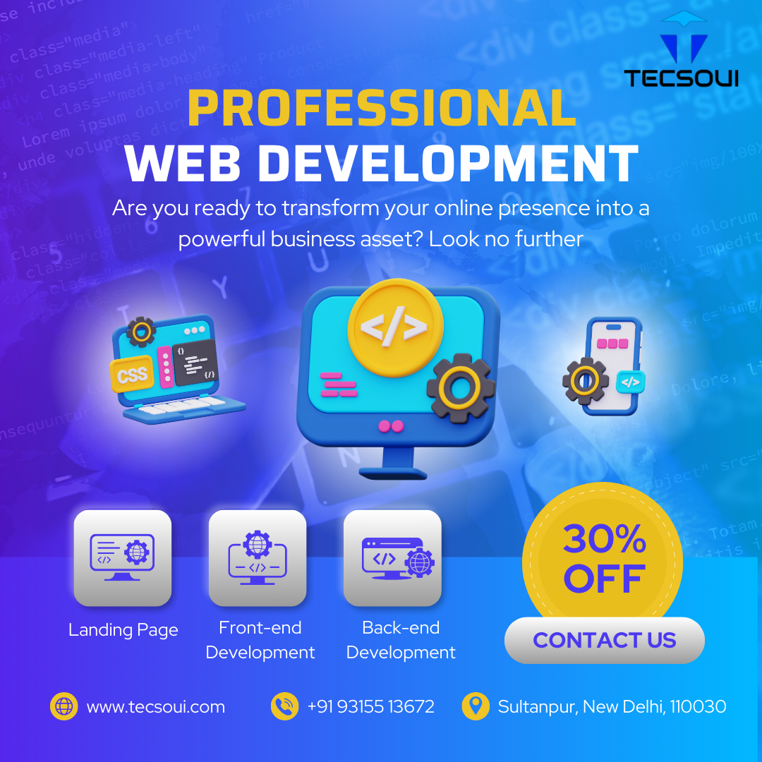 Professional Web Development